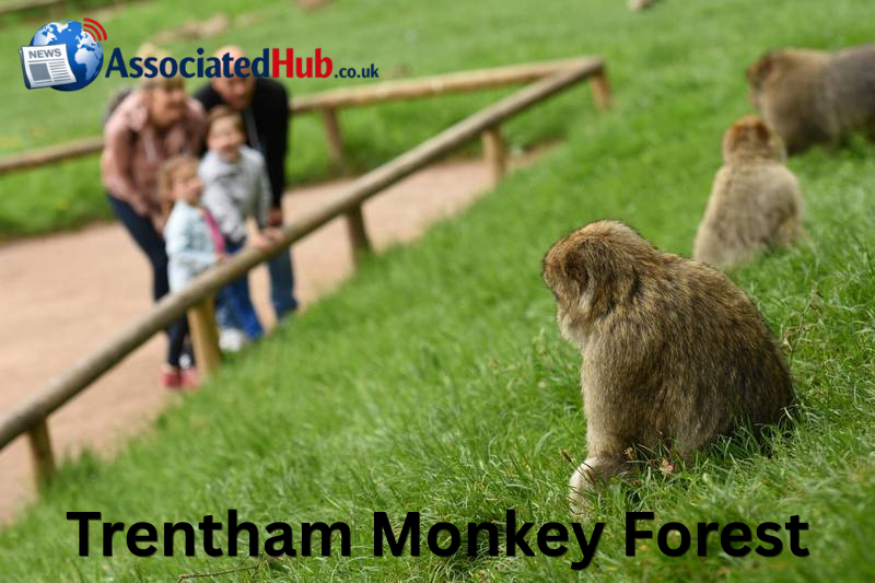trentham monkey forest