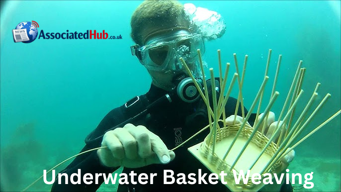 Underwater Basket Weaving Degree Explained