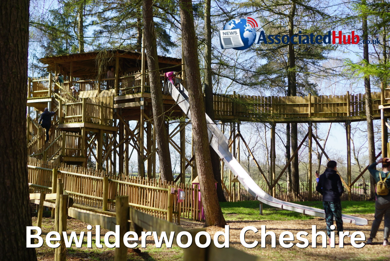 BeWILDerwood Cheshire: The Ultimate Guide to Photos, Tickets & Visiting